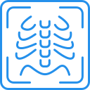 X-ray Report